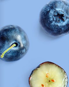 Blueberries marketer